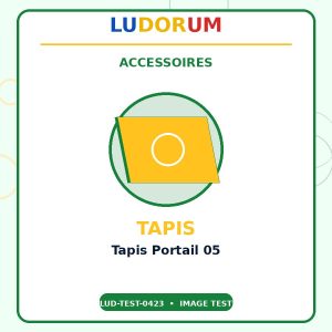 Tapis Portail 05