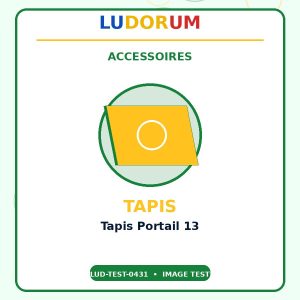 Tapis Portail 13
