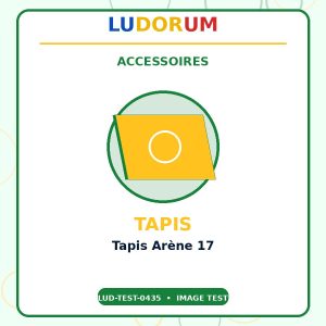 Tapis Arène 17