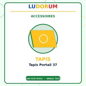 Tapis Portail 37