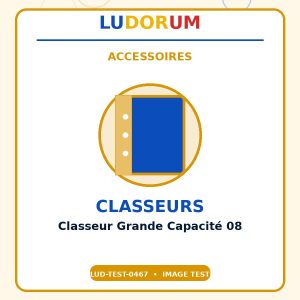 Classeur Grande Capacité 08
