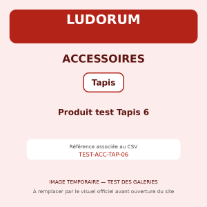 Produit test Tapis 6
